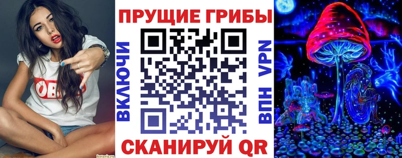 Псилоцибиновые грибы Cubensis  Омутнинск 